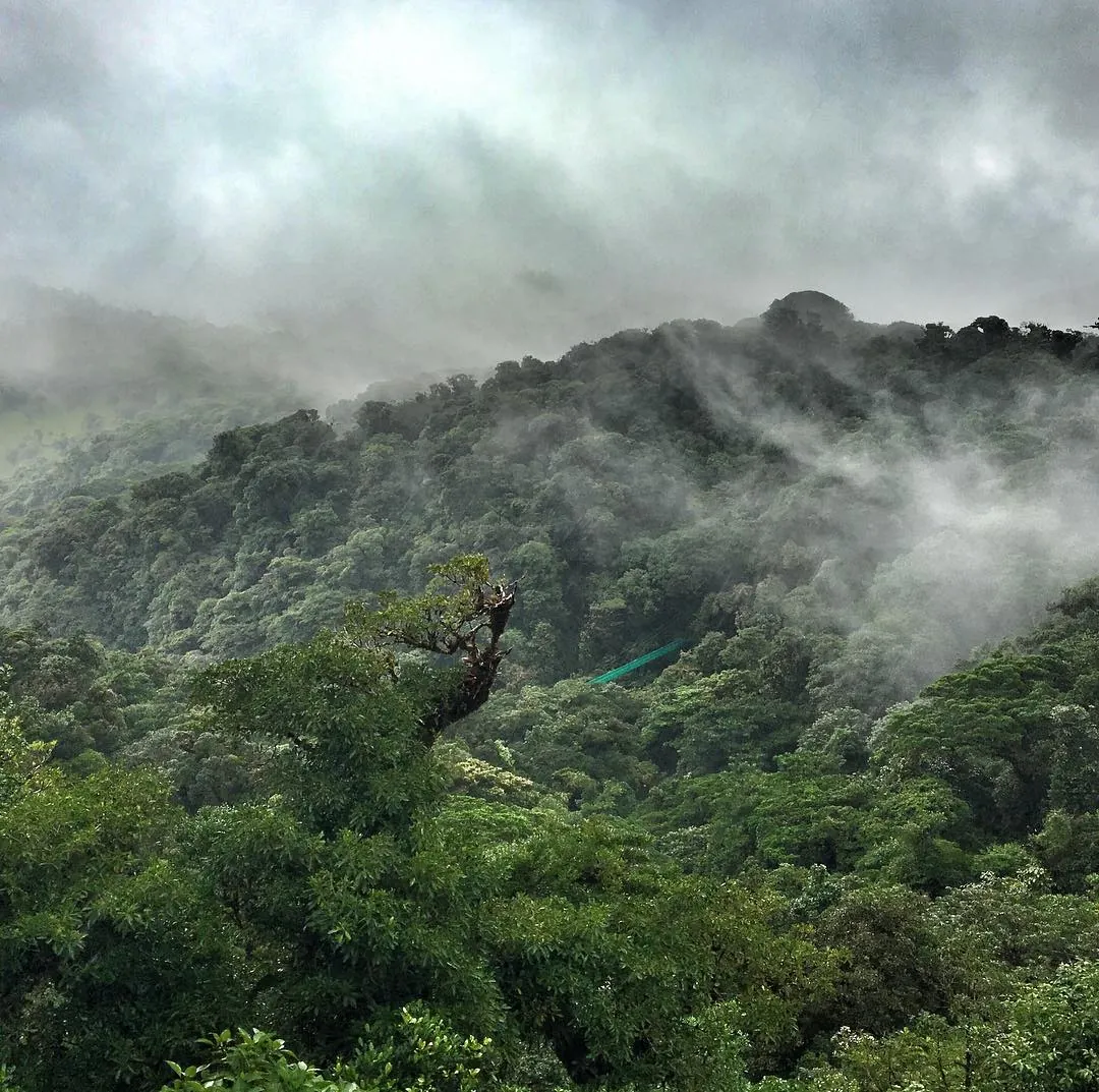 Experiencing Monteverde Cloud Forest Reserve