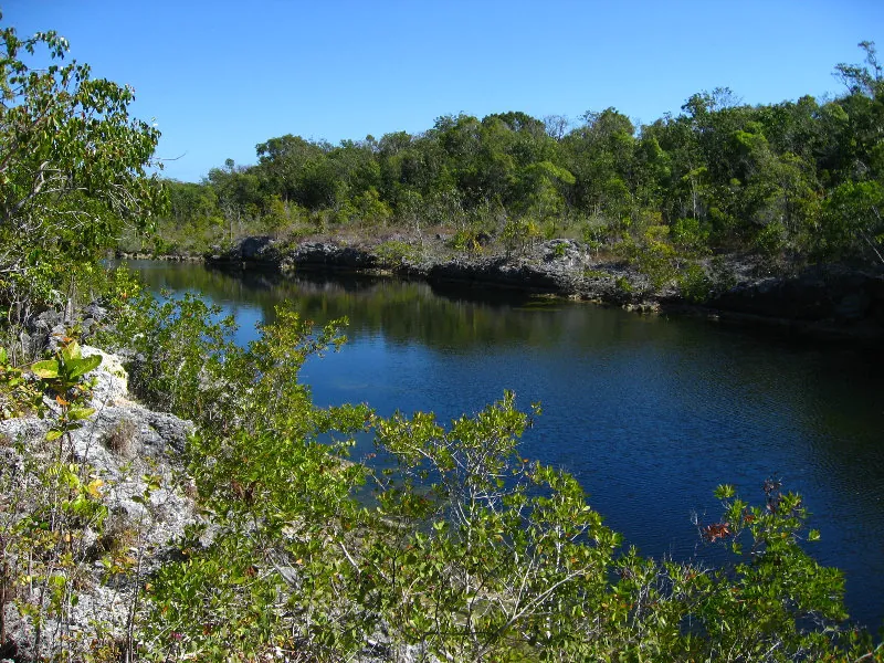 Explore Dagny Johnson Key Largo Hammock Botanical State Park