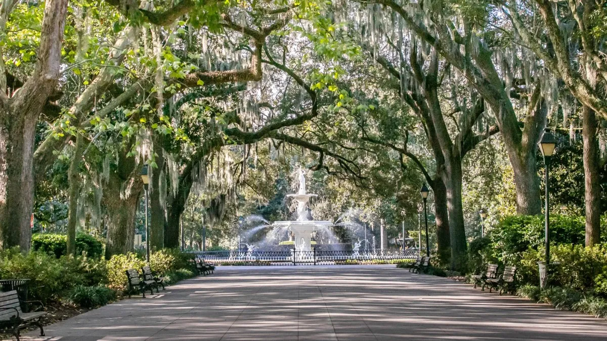 Explore Forsyth Park