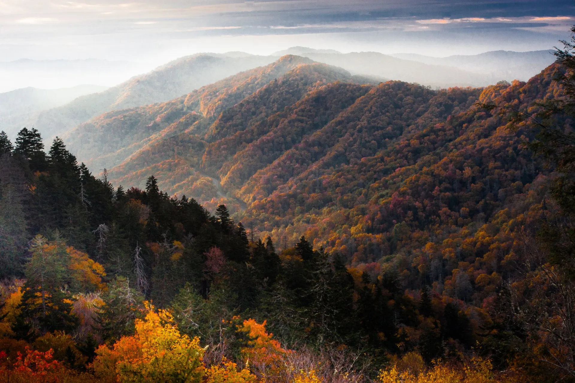 Explore Great Smoky Mountains National Park