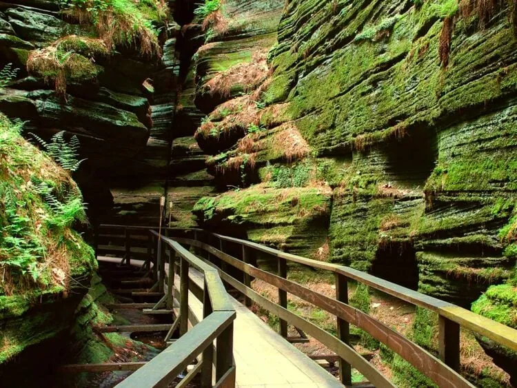 Explore the Natural Beauty of Wisconsin