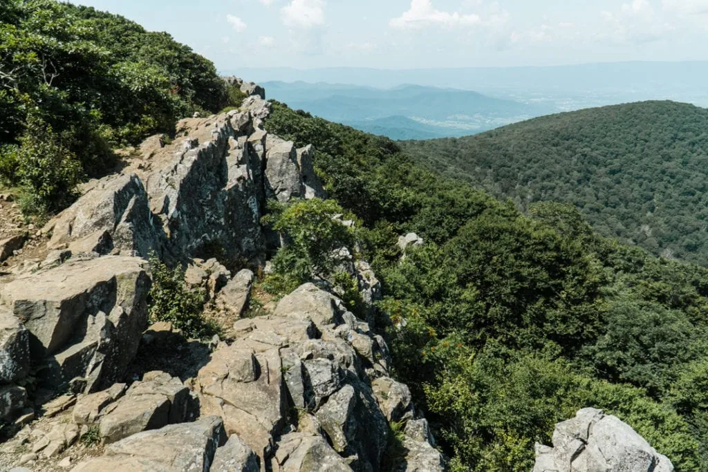 Hawksbill Summit Trail