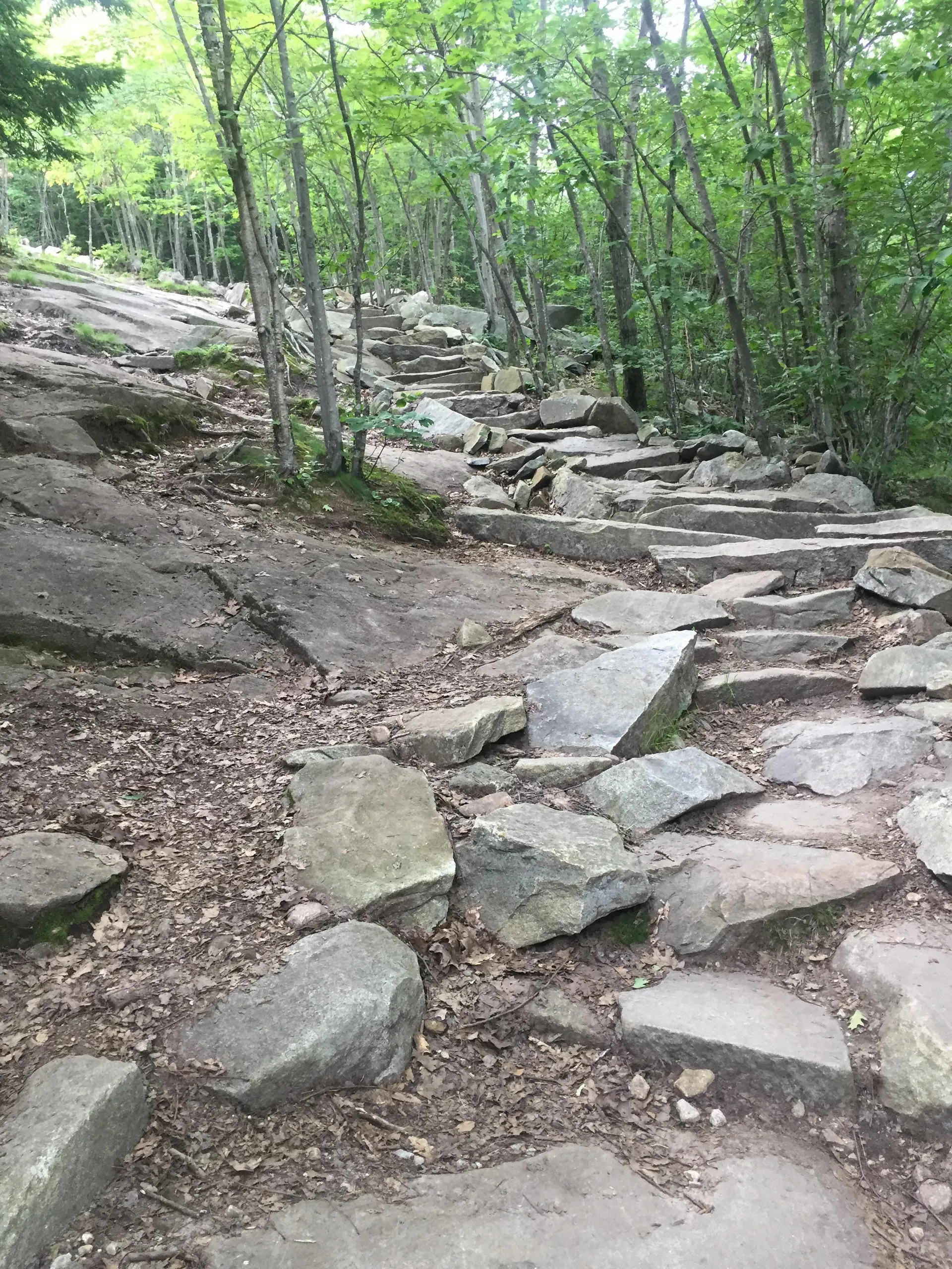 Hiking Mount Wachusett