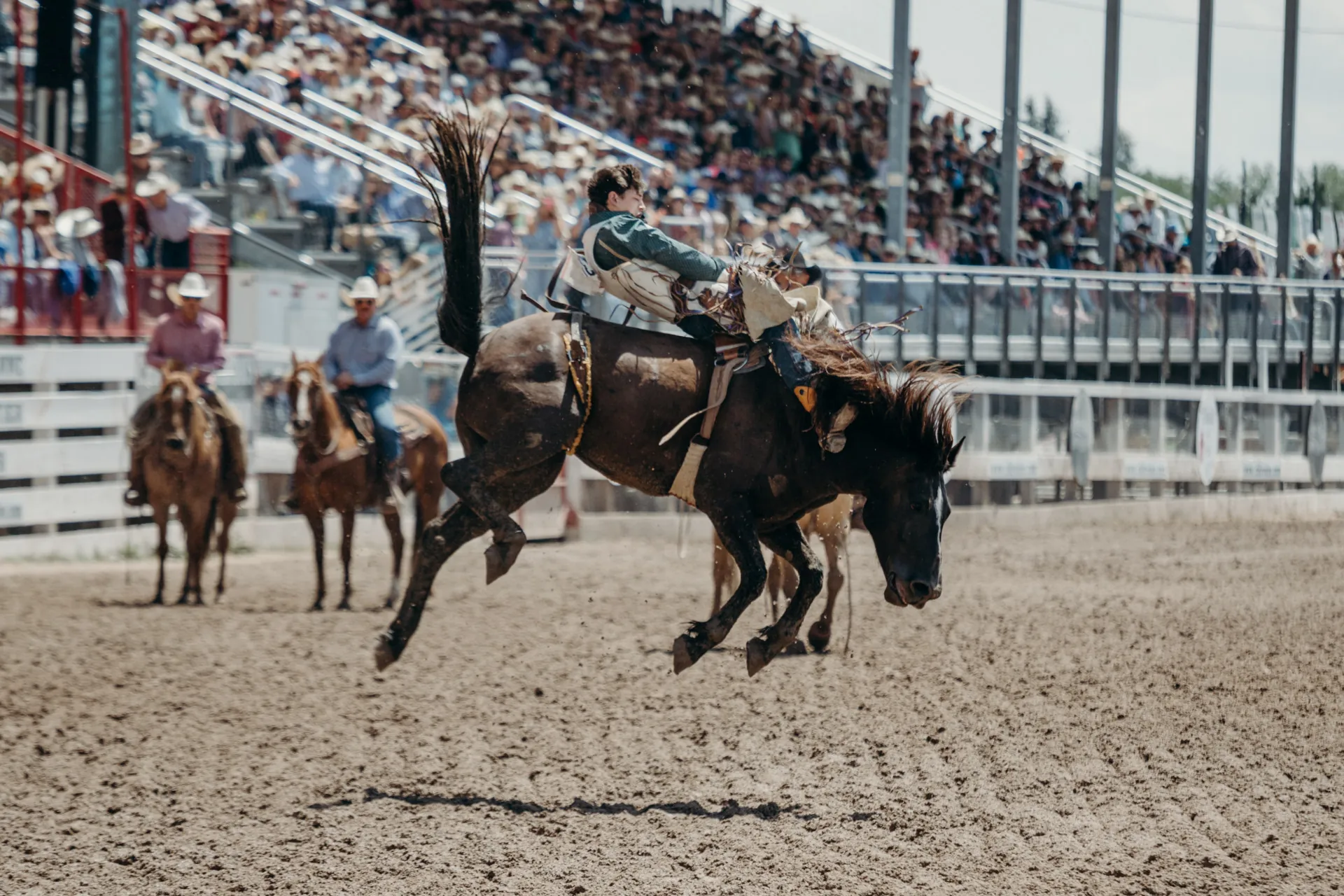 Immerse in Western Culture at Jackson Hole Rodeo