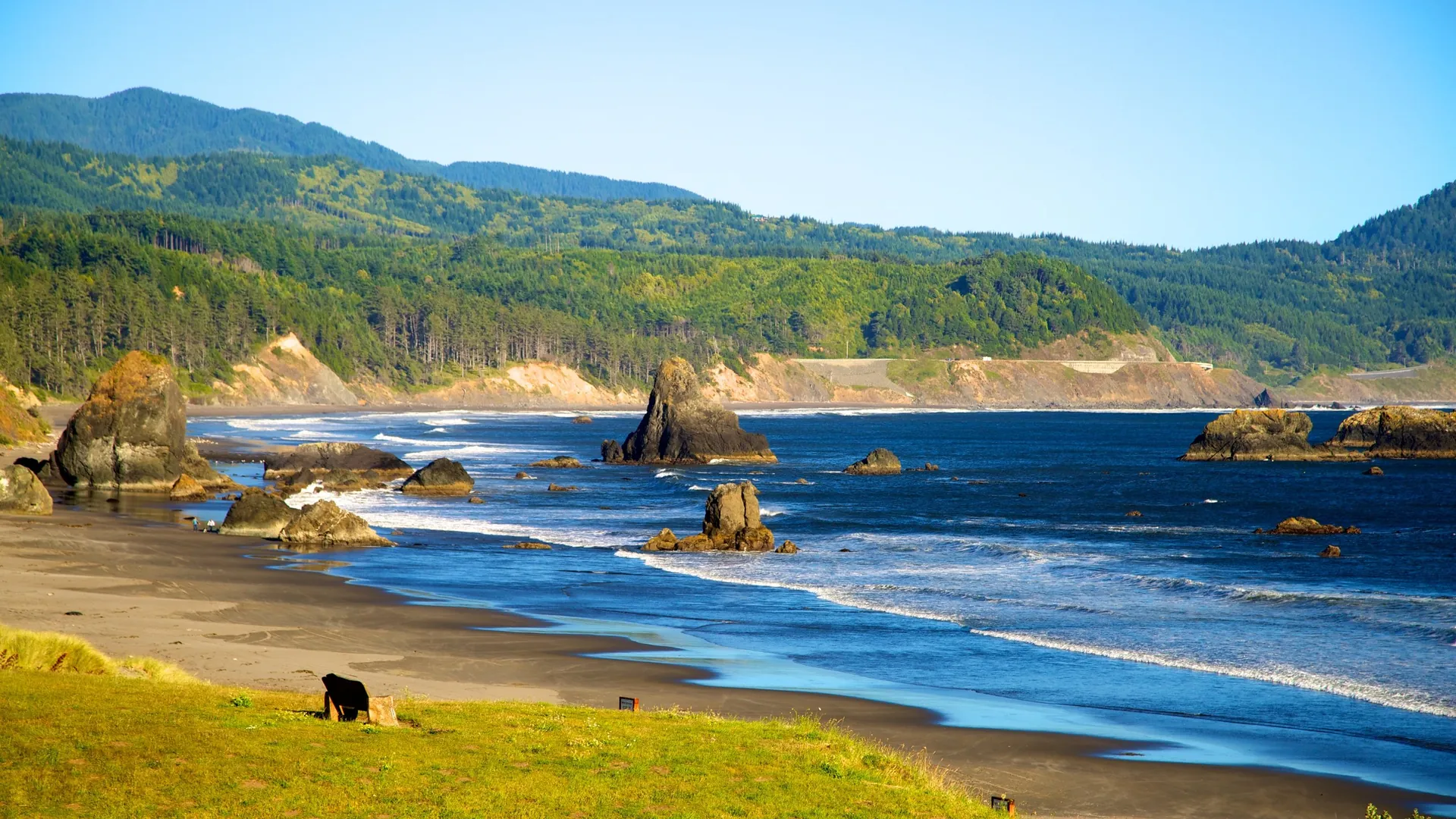 Immerse in the Scenic Charms of Port Orford