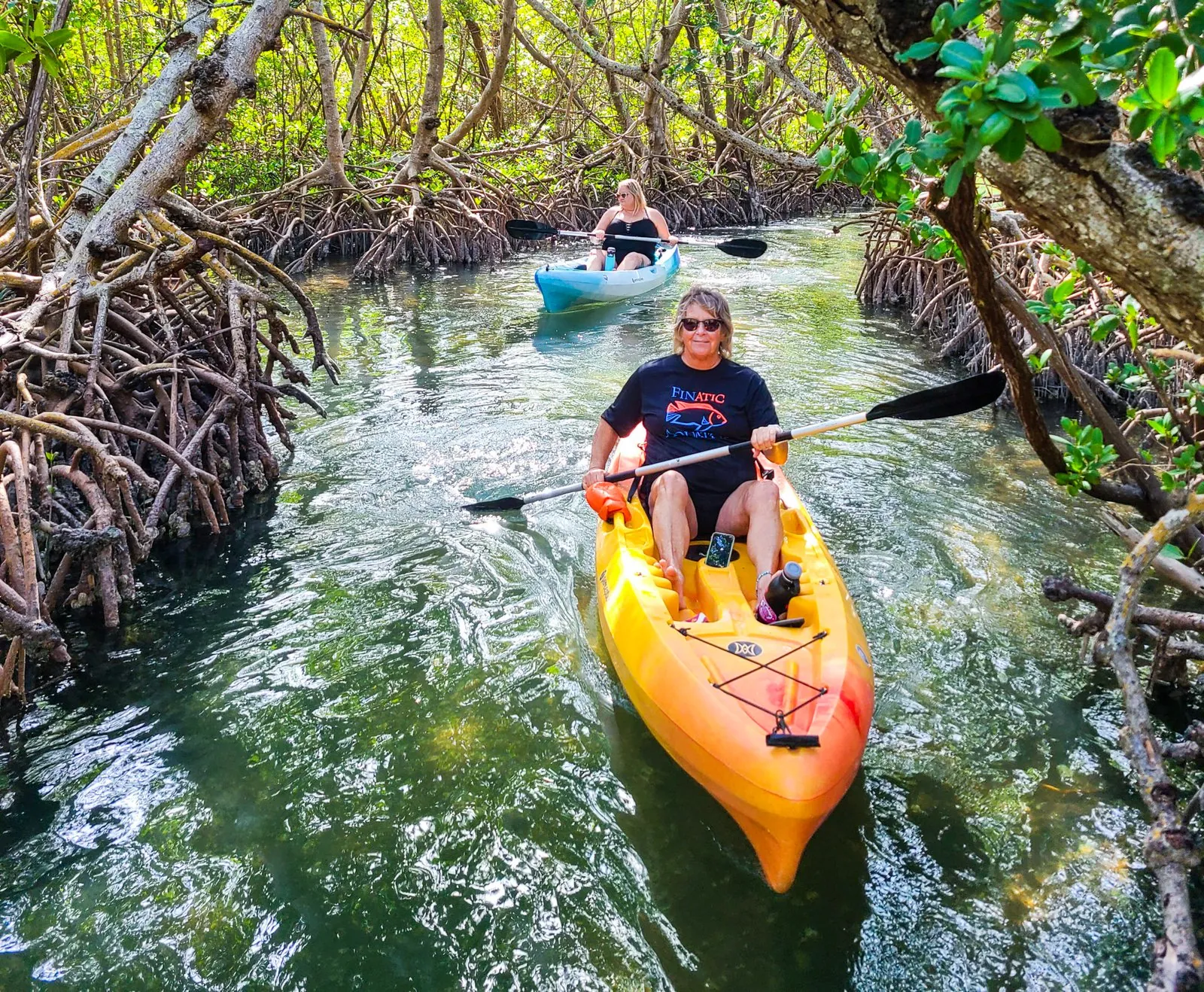 Kayak Through Mangroves