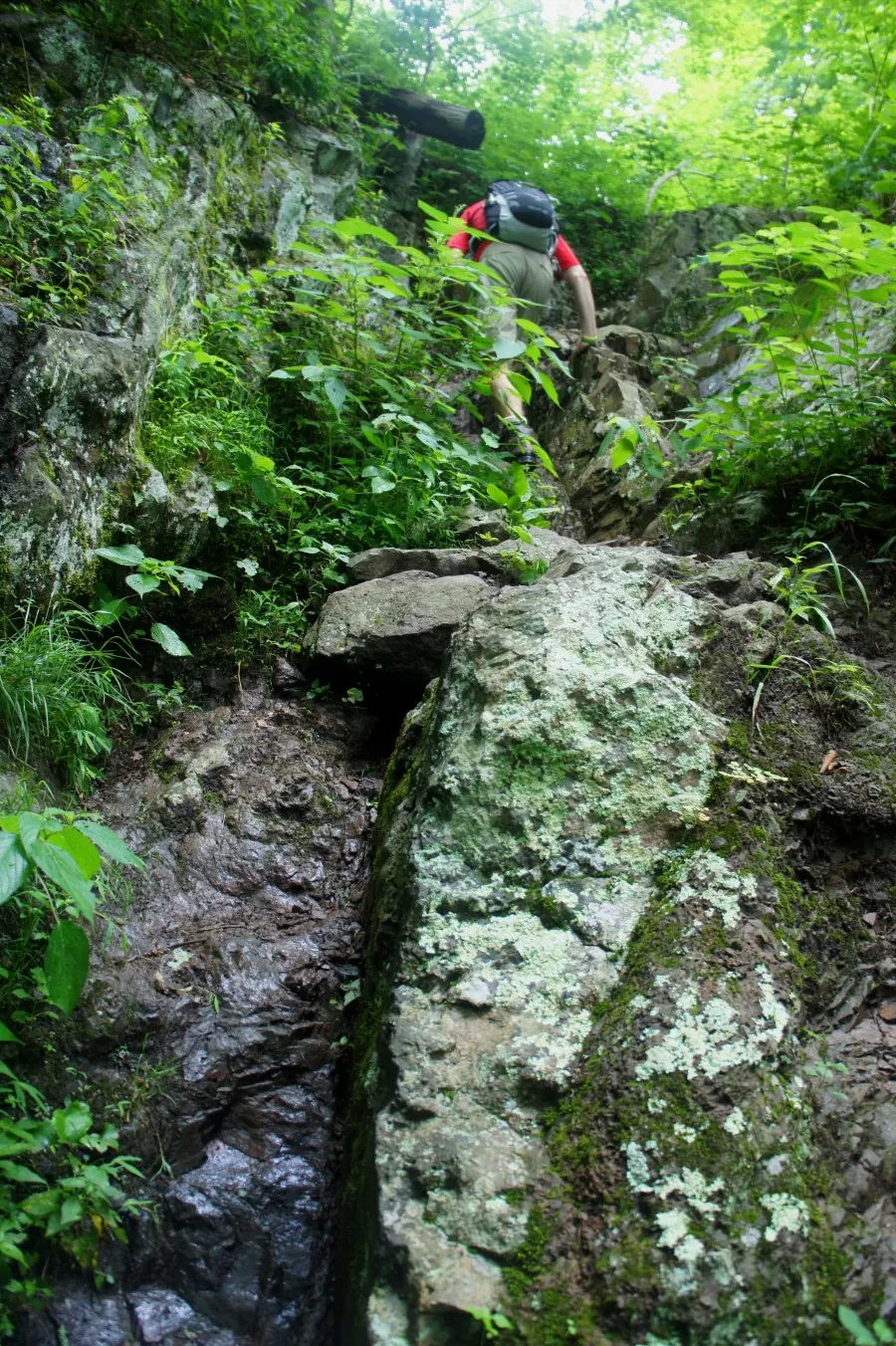 Little Devils Stairs Trail