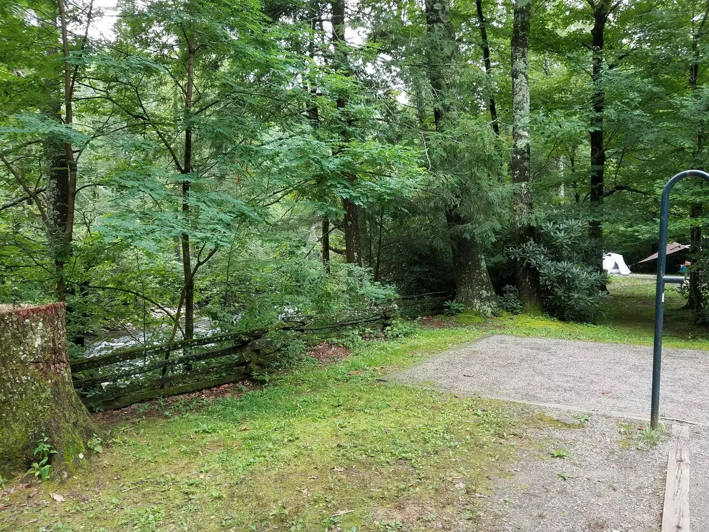 Overview of Black Mountain Campground