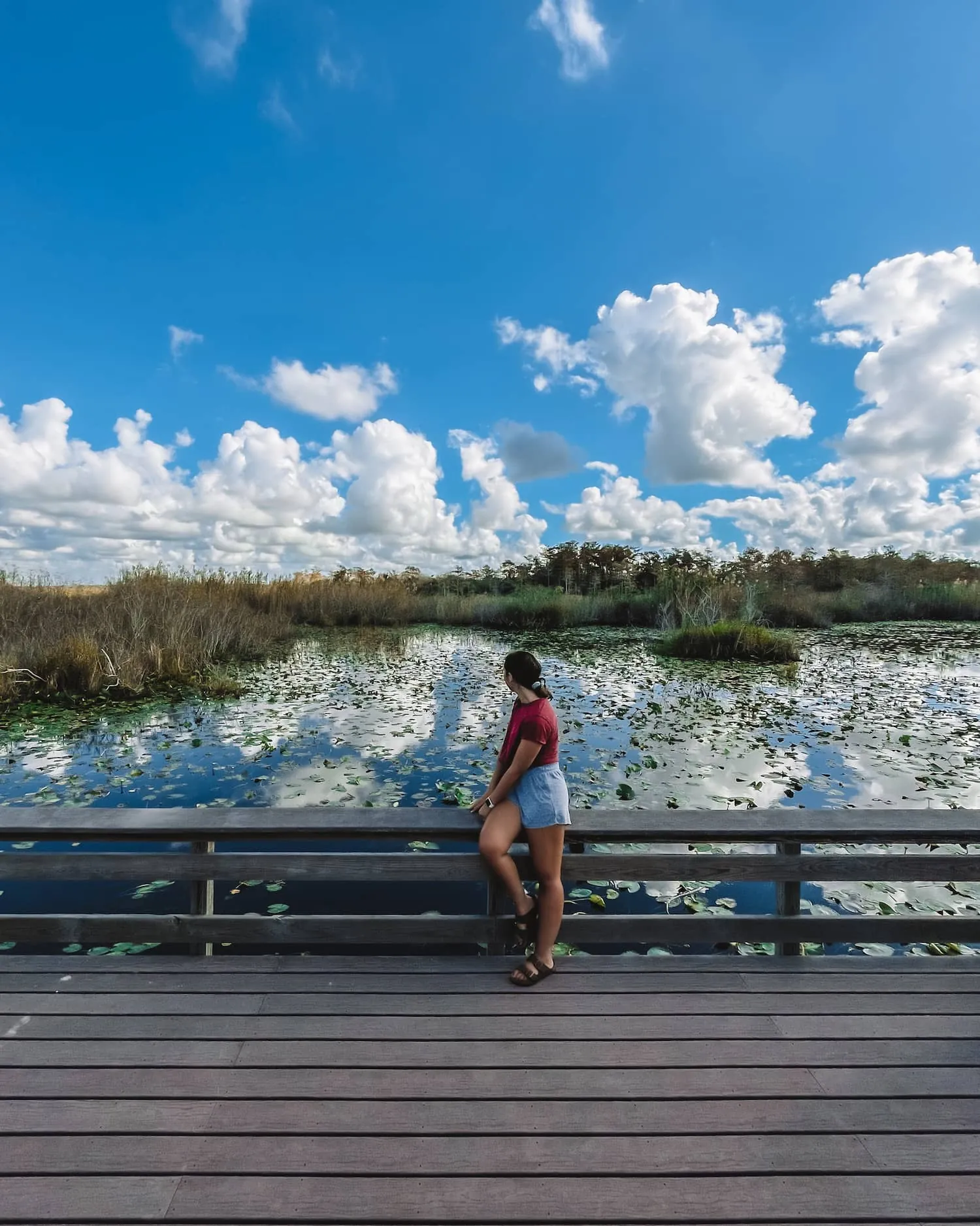 Planning Your Perfect 2 Days in Everglades