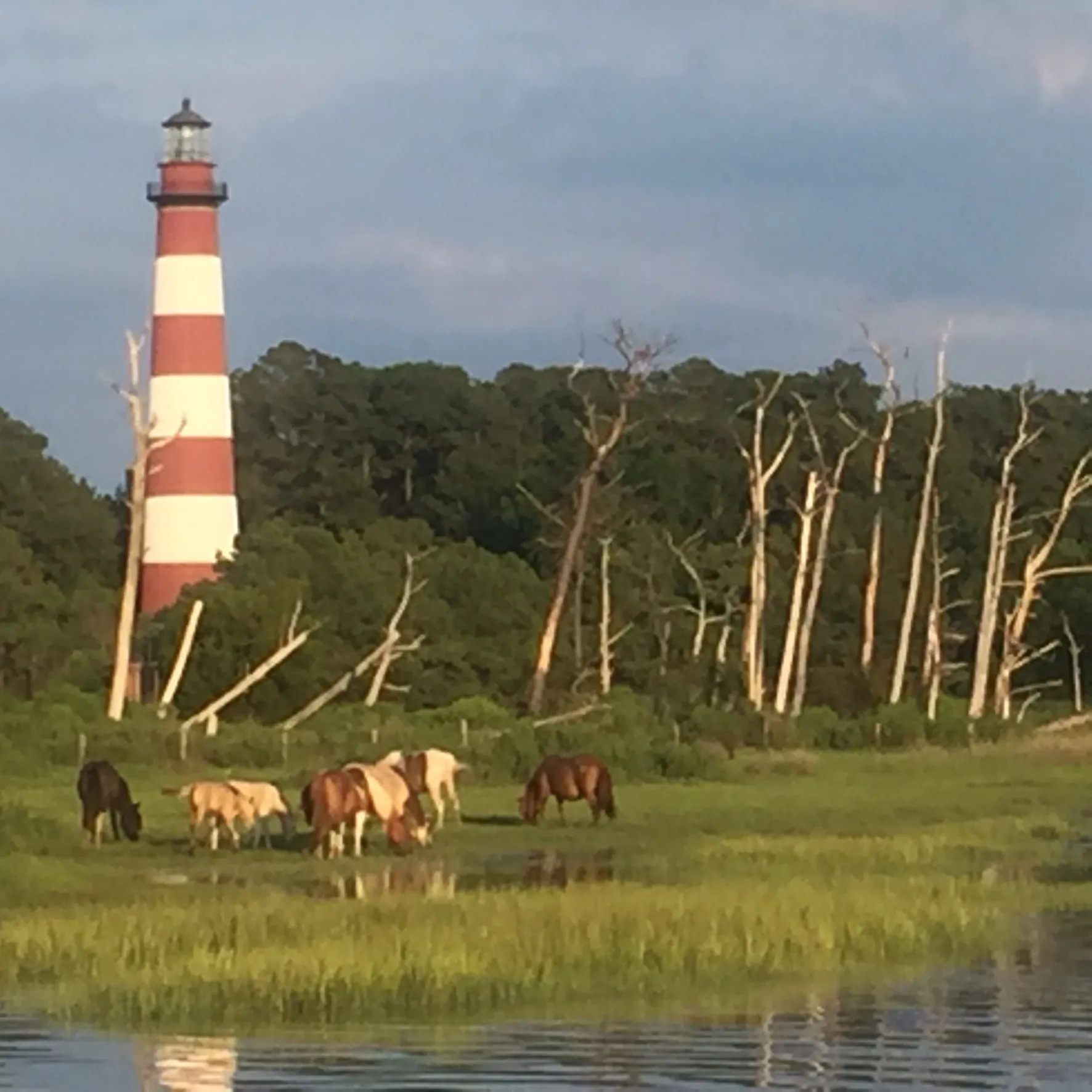 Relax at Chincoteague and Assateague Islands