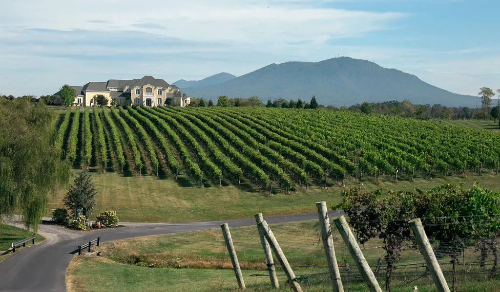 Revel in Virginia’s Wine and Cider Trails