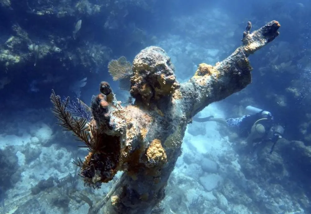 Snorkel at John Pennekamp Coral Reef State Park