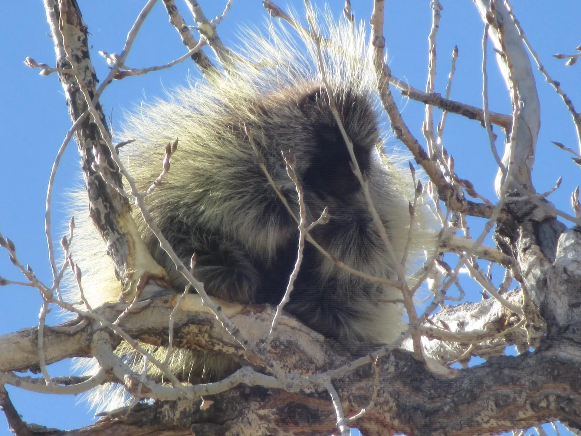 Spot Wildlife at Edness K. Wilkins State Park