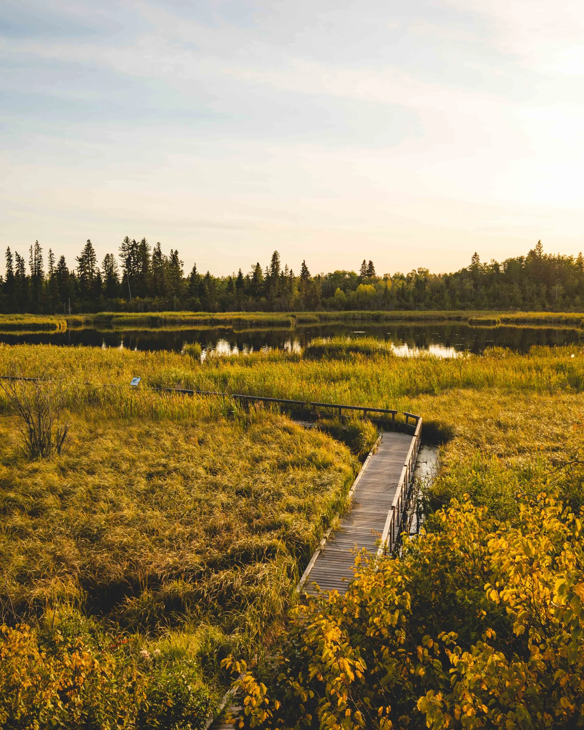 Stroll Along the Mills Lake & Black Lake Trail