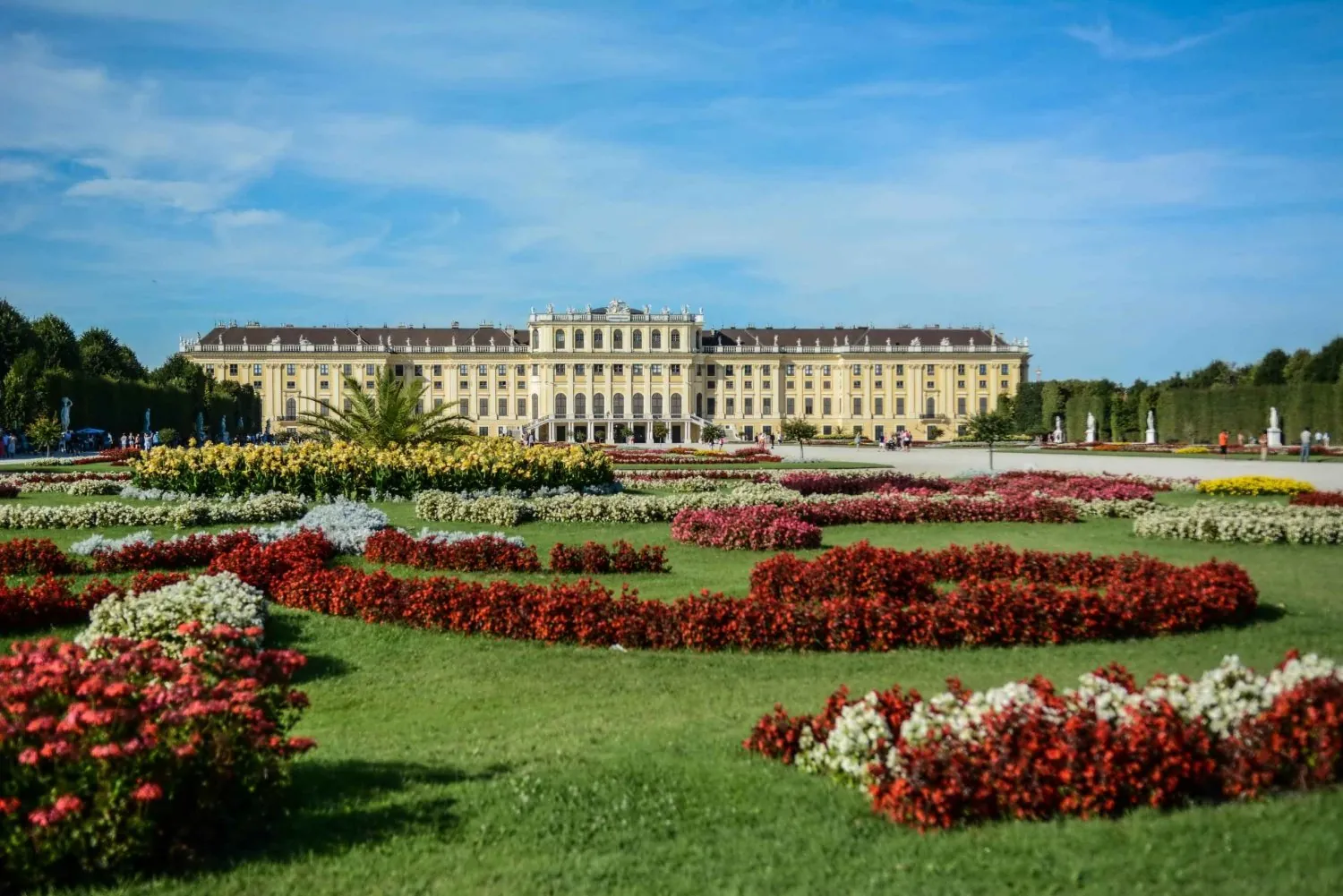 Visit Schönbrunn Palace in the Afternoon