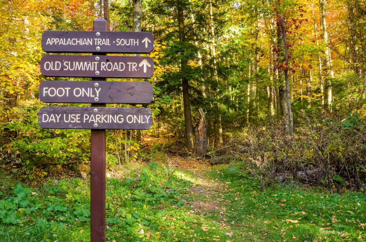 Visiting Mount Greylock State Reservation