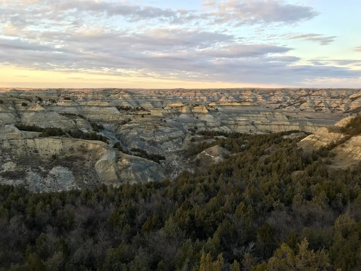 Wander through Theodore Roosevelt National Park