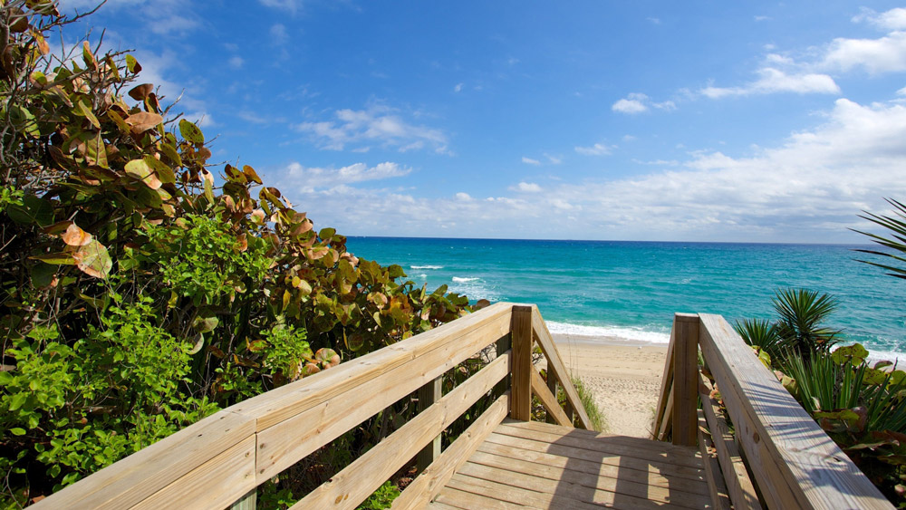 33 Things to Do in West Palm Beach, Florida West Palm Beach, Florida