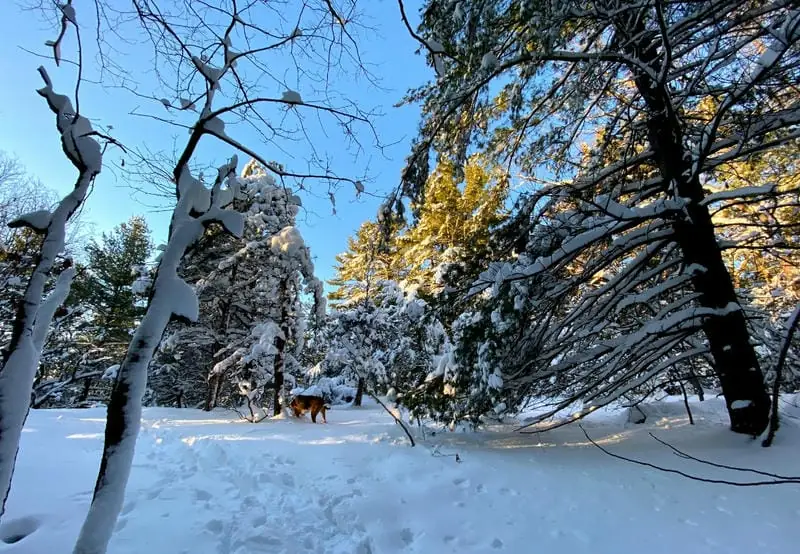 Adventure at Purgatory Chasm