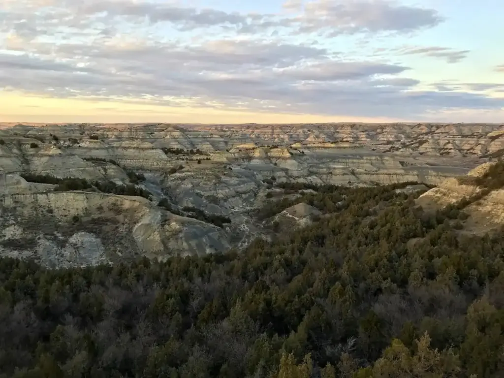 Wander through Theodore Roosevelt National Park
