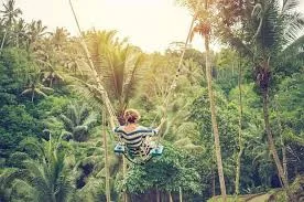 Discover Ubud on Day 2