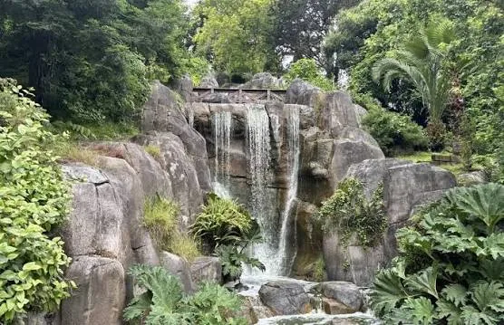 Hiking Through Golden Gate Park