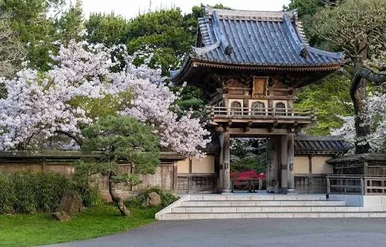 Experiencing the Japanese Tea Garden